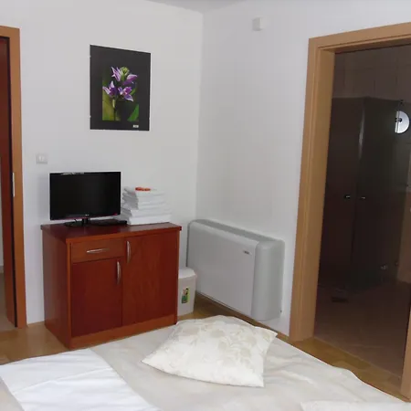 Gostilna In Prenocisce Kocjan Guest house 3*