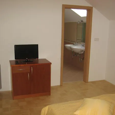 Gostilna In Prenocisce Kocjan Guest house 3*