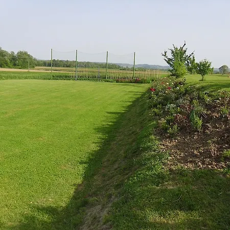 Pensionat Gostilna In Prenocisce Kocjan