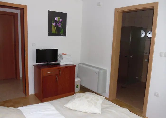 Gostilna In Prenocisce Kocjan Πανσιόν 3*