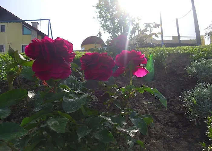 Πανσιόν Gostilna In Prenocisce Kocjan