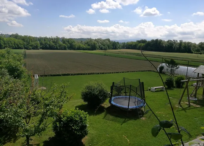 Gostilna In Prenocisce Kocjan Πανσιόν 3*